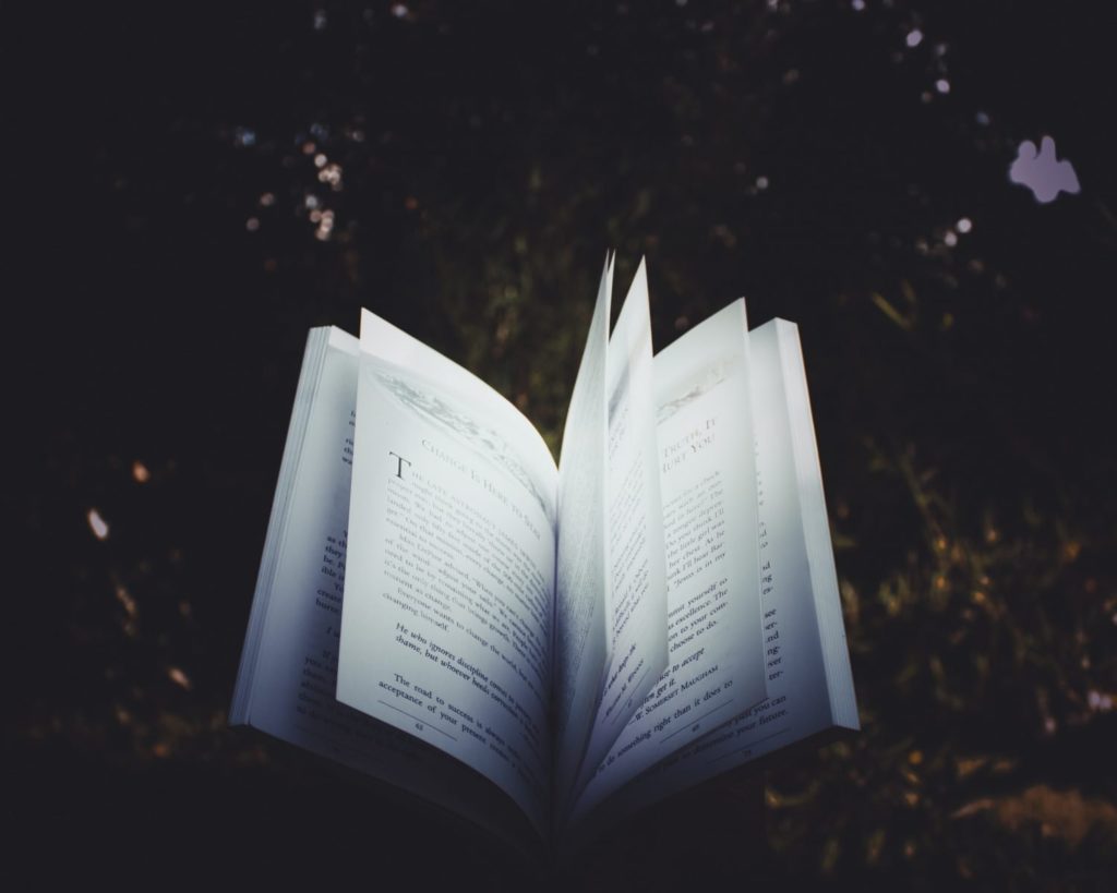 A book with open pages sitting amongst a dark forest background