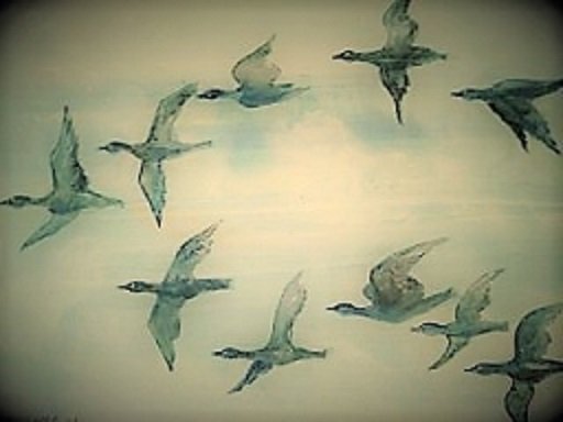 Geese flying across in a V pattern